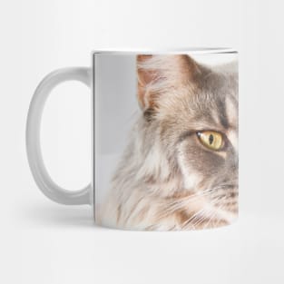 Maine Coon / Swiss Artwork Photography Mug